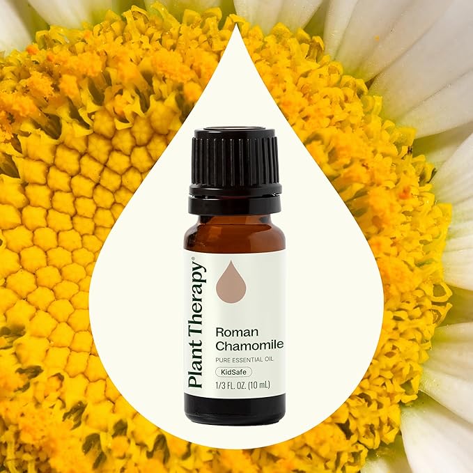 Plant Therapy Roman Chamomile Essential Oil 100% Pure, Undiluted, Natural Aromatherapy, Therapeutic Grade 10 mL (1/3 oz) - Bloomnest
