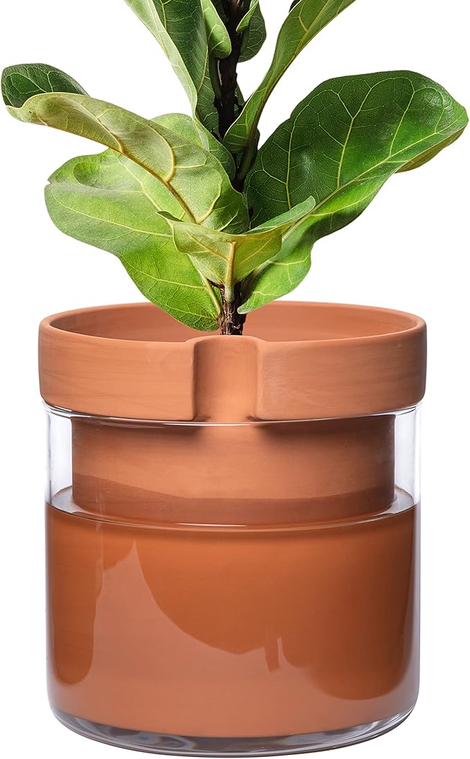 Phoenix Vine 10 Inch Self Watering Planter Pot, Terracotta Clay Pot with Glass Reservoir for Indoor Plants, Herbs, Flowers, Set of 1, 52-A-I-1 - Bloomnest