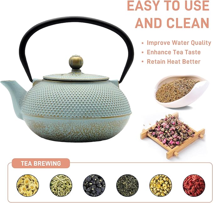 30.4oz Small Cast Iron Teapot, Tea Kettle for Stovetop Safe, Tea Pot with Stainless Steel Infuser for Loose Tea, Japanese Tetsubin Coated with Enameled Interior(900ml) - Bloomnest