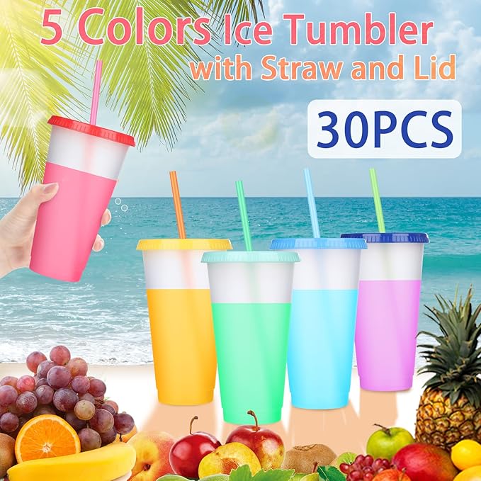 Honeydak 30 Pack Tumbler with Straw and Lid Bulk Water Bottle Iced Coffee Travel Mug Cup Reusable Plastic Cups for Party Birthdays 24-27 oz (Stylish Color) - Bloomnest