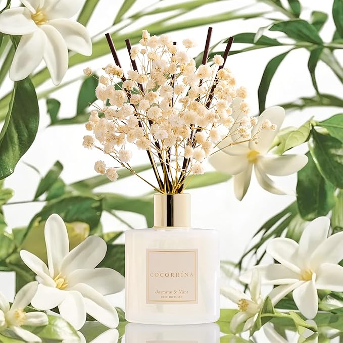 COCORRÍNA Reed Diffuser - Jasmine & Mint 6.7 Fl.oz Reed Diffuser Set with Sticks & Preserved Baby's Breath, Reed Diffuser for Home Bathroom Shelf Decor - Bloomnest