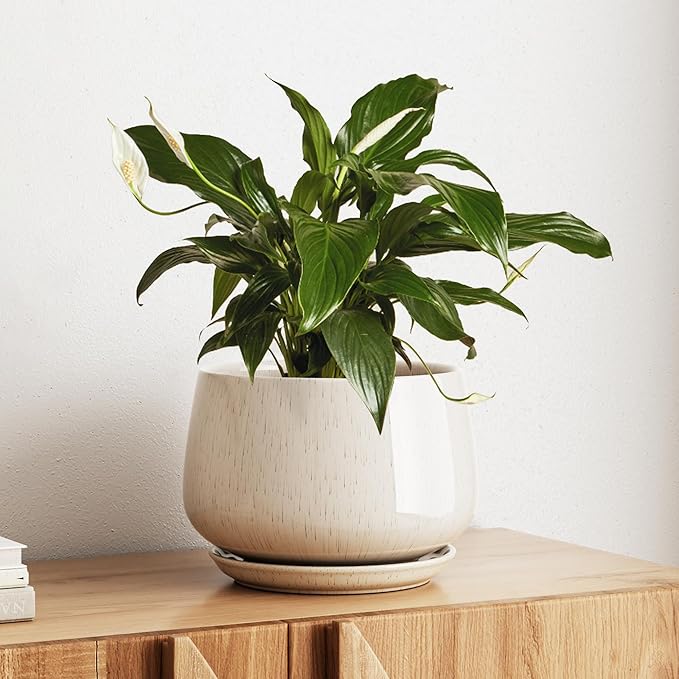 LE TAUCI Ceramic Planter, 10 Inch Plant Pot with Drainage Hole & Saucer – Durable Indoor Planter for Modern Home Decor, Reactive Glaze Beige - Bloomnest