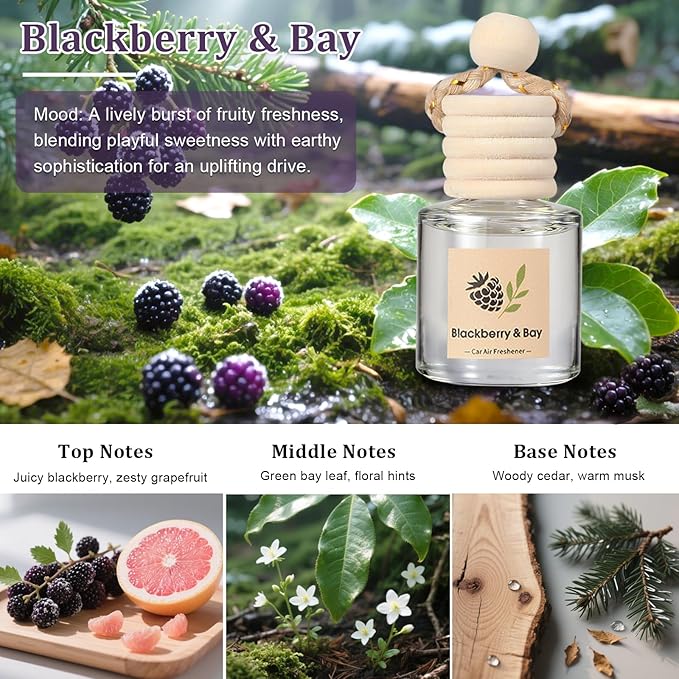 Car Air Freshener Oil Diffuser - Hanging Long Lasting Scent for Car & Home (BlackBerry & Bay, White Musk & Cedarwood, English Pear & Freesia, Wild Bluebell) - Bloomnest