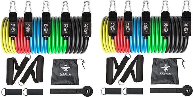 BodyForge Resistance Bands, Exercise Bands, Resistance Bands for Working Out, Work Out Bands with Handles for Men and Women Fitness, Strength Training Home Gym Equipment