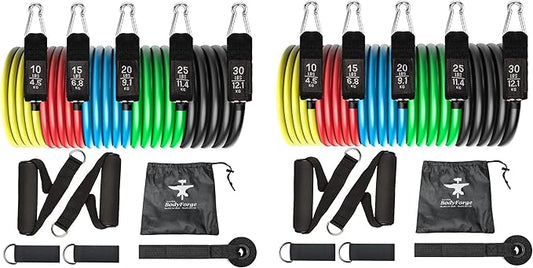 BodyForge Resistance Bands, Exercise Bands, Resistance Bands for Working Out, Work Out Bands with Handles for Men and Women Fitness, Strength Training Home Gym Equipment