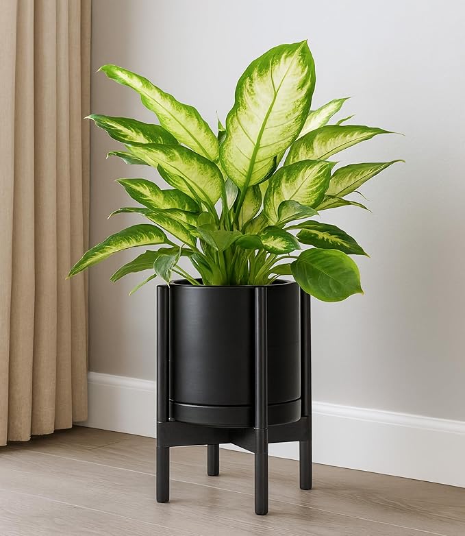 D'vine Dev Ceramic Planter with Ebony Stand - 10 Inch Modern Round Flower Pot with Wood Planter Holder, Black, 55-B-L-2 - Bloomnest
