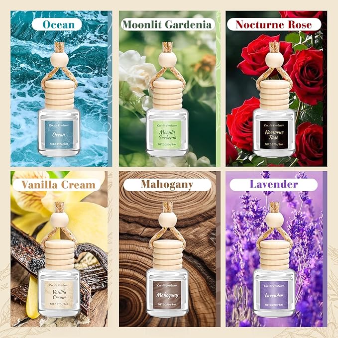 6 Pack Car Air Freshener - Valentines Day Gifts for Her, Hanging Air Freshener Essential Oil Diffuser, Romantic Car Scents Cute Auto Decor Gifts for Women/Men - Bloomnest