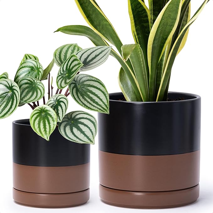 D'vine Dev 6.5 Inch & 8.2 Inch Ceramic Planter Pots for Plants with Drainage Hole and Saucer, Medium Plant Pots Set, Black/Speckled Tan, 94-G-M-7 - Bloomnest