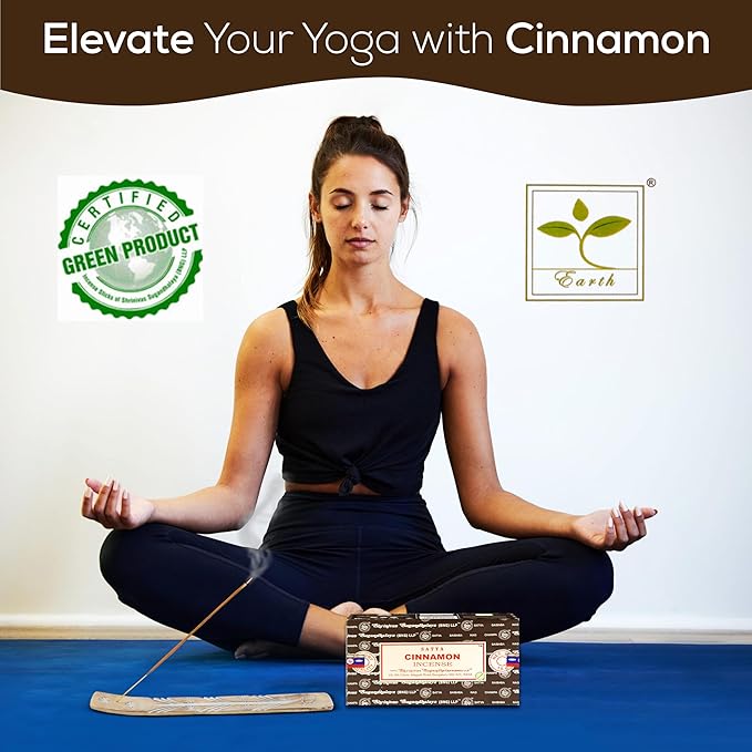 Satya Cinnamon Incense Sticks, Satya Bng (Bangalore) Insenses 15gmx12 Pack with Raajsee Incense Holder Bundle, Satya Nagchampa Natural Incense - Bloomnest