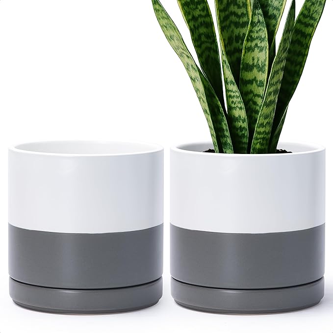 D'vine Dev Set of 2 Plants Pots, 8.2 Inch Ceramic Planter Pot for Plants with Drainage Hole and Saucer, White/Speckled Grey, 94-V-D-6 - Bloomnest