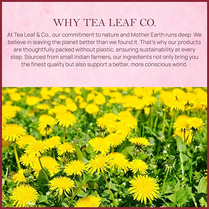 Tealeaf & Co. Dandelion Root Tea with Dried Dandelion Root Extract - Pure Herbal Tea Bags Blended with Fresh Herbs - Flavored Herbal Blend - Low Caffeine - Gluten Free - 50 Teabags - Bloomnest