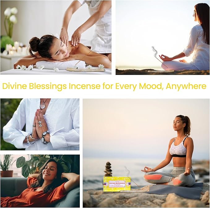 Satya Divine Blessings Incense Sticks, Satya Bng (Bangalore) Insenses 15gmx12 Pack with Raajsee Incense Holder Bundle, Satya Nagchampa Natural Incense RAAJSEE