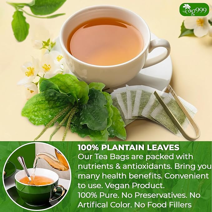 TOG999, Premium Tea Bags, 100% Natural & Pure, Loose Leaf Herbal Tea. No Sugar, No Gluten, Vegan. (60 Bags, Plantain Tea) - Bloomnest