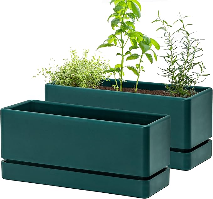 D'vine Dev 12 Inch Window Box Planter, Rectangle Plastic Herb Planter with Drainage Holes and Saucer, Indoor Succulent Cactus Vegetable Pot for Windowsill, Garden Balcony, Green, Set of 2, 76-X-C-2 - Bloomnest