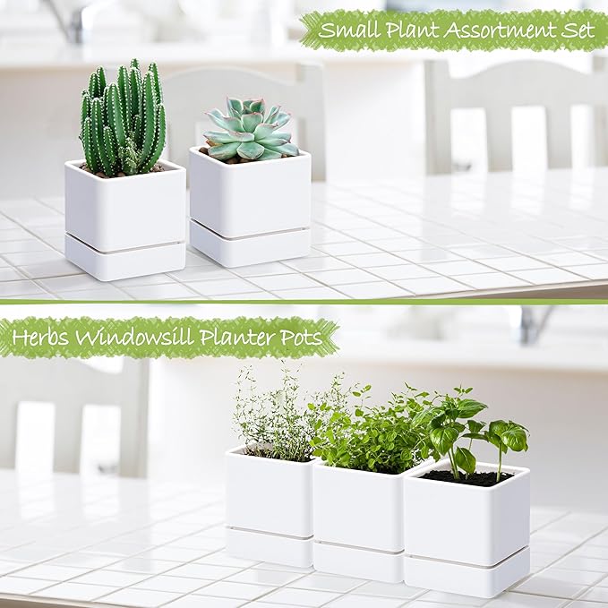 4 Inch Herb Planter Pot, Plastic Planter with Drainage Holes and Saucer, Modern Decorative Gardening Pot for Indoor Plants, Flowers, Herbs, Succulents, White, Set of 3, 76-Y-A-3 - Bloomnest
