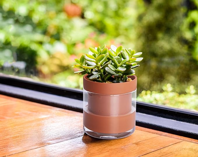 Phoenix Vine 4 Inch Self Watering Planter Pot, Terracotta Clay Pot with Glass Reservoir for Indoor Plants, Herbs, Flowers, Set of 4, 52-A-E-4 - Bloomnest