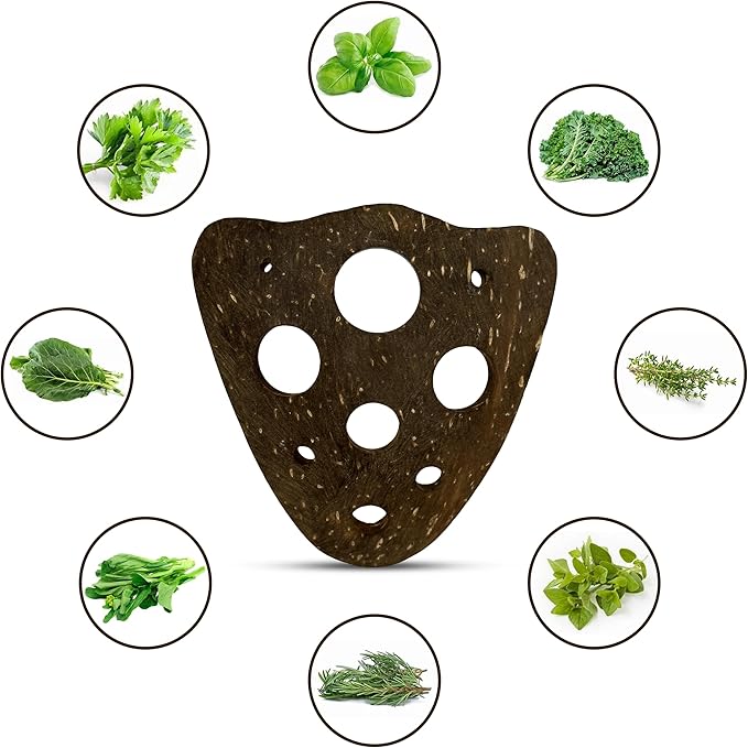 All-Natural Herb Stripper Tool for Fresh Herbs | 9-Hole Kale, Rosemary and Thyme Peeler | Eco-Friendly Kitchen Gadget | Metal & Plastic Free Herb Stripping Tool for Cilantro, Basil, Chard & More - Bloomnest