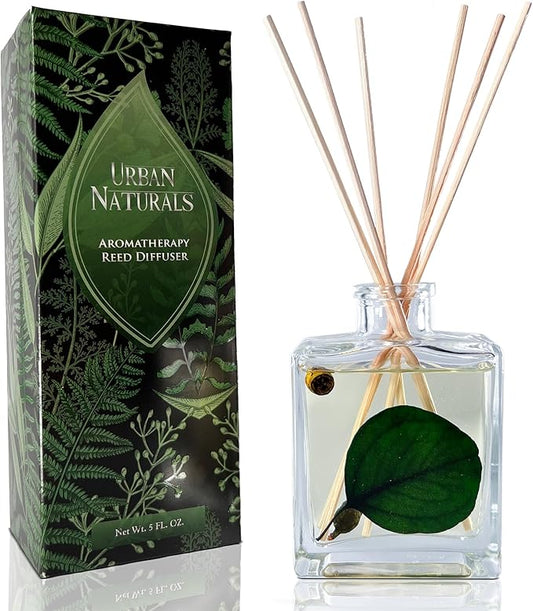 Urban Naturals Sandalwood & Eucalyptus Reed Diffuser Set – Made with Essential Oils & Real Botanicals – Sleek Rectangular Refillable Glass Bottle – Made in the USA UrbanNaturals