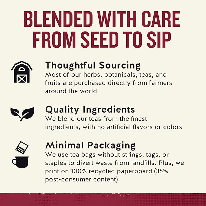 Celestial Seasonings Cinnamon Apple Spice Herbal Tea, Caffeine Free, 20 Tea Bags Box (Pack of 6) - Bloomnest
