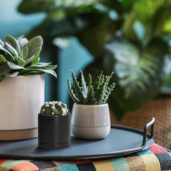 D'vine Dev Set of 2 Plants Pots, 3.5 Inch Ceramic Planter Pot for Plants with Drainage Hole and Saucer, Black, 94-V-A-2 - Bloomnest