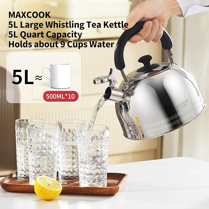 Whistling Tea Kettle for Stovetop, 5L Stainless Steel Tea pot Kettles,Striped frosted water pot, Large kettle teapot with Cool Touch Ergonomic Handle(Mirror Polish) - Bloomnest