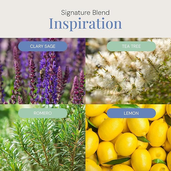 Inspiration Aroma Oil, Essential Oils Blend for Diffusers & Scent Machines, Zesty Citrus & Blooming Florals, Aromatherapy, Cold Air Diffuser Compatible, 300 mL - Bloomnest