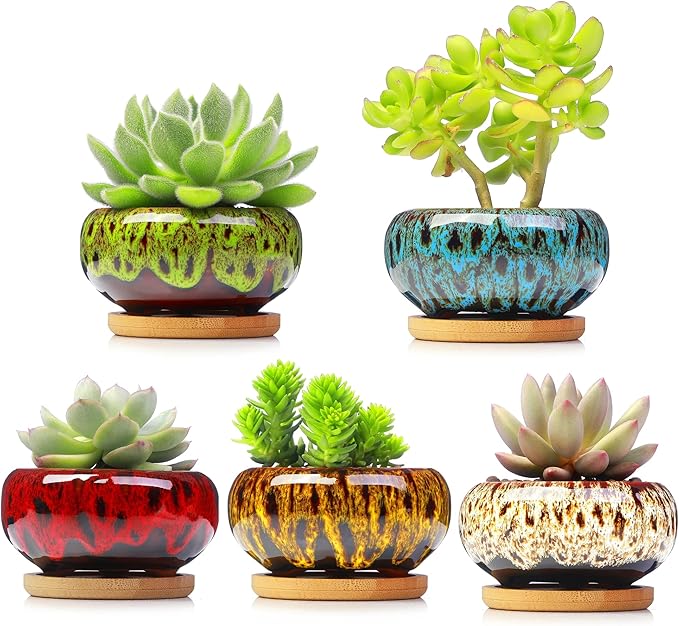 Cute Ceramic Succulent Garden Pots, Planter with Drainage and Attached Saucer, Set of 5 -Plants Not Included (Vivid Colors) - Bloomnest