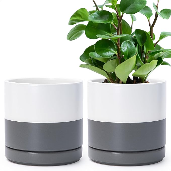 D'vine Dev Set of 2 Plants Pots, 6.5 Inch Ceramic Planter Pot for Plants with Drainage Hole and Saucer, White/Speckled Grey, 94-V-C-6 - Bloomnest