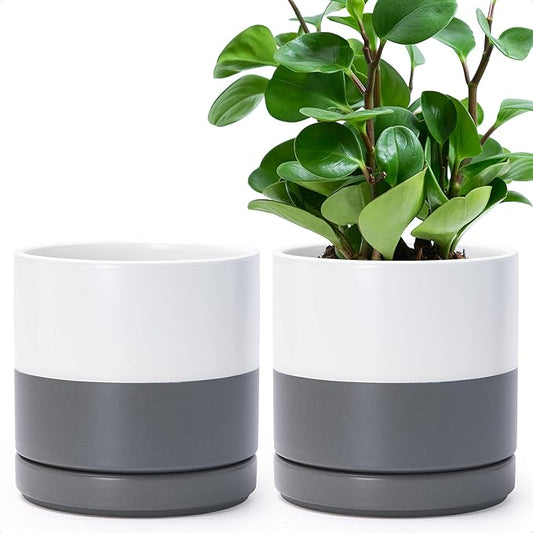 D'vine Dev Set of 2 Plants Pots, 6.5 Inch Ceramic Planter Pot for Plants with Drainage Hole and Saucer, White/Speckled Grey, 94-V-C-6 - Bloomnest