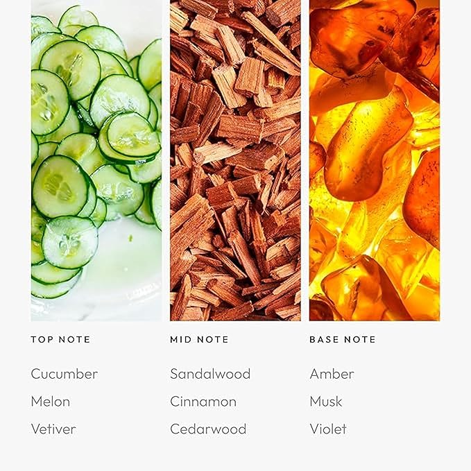 Summer Breeze 50mL - Bloomnest