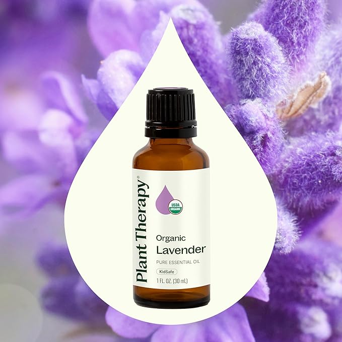 Plant Therapy Organic Lavender Essential Oil 100% Pure, USDA Certified Organic, Undiluted, Natural Aromatherapy for Diffusion & Topical Use, For Skin, Hair, Relaxation, Premium Therapeutic Grade 30 mL - Bloomnest