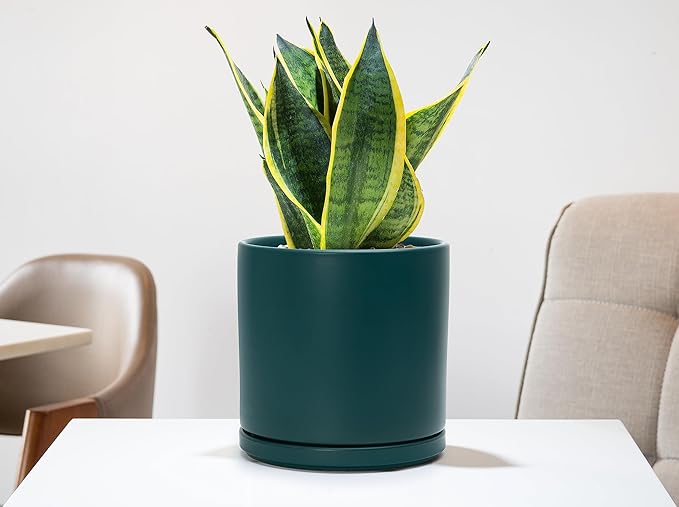 D'vine Dev 6 Inch & 8 Inch Ceramic Planter Pots for Plants with Drainage Hole and Saucer, Medium Plant Pots Set, Teal, 94-G-M-9 - Bloomnest