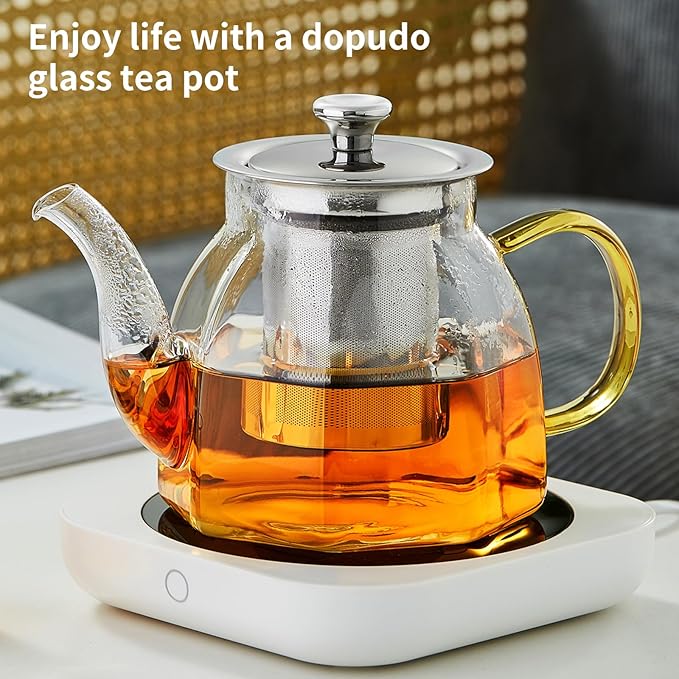 Glass Tea Pot with Stainless Steel Infuser and Lid (Octagonal), Clear Glass Teapot, Borosilicate Hydrochloric Glass Heat Resistant, Fine Glass Filter for Flower Tea, Tea Bags (27 oz / 800 ml) - Bloomnest
