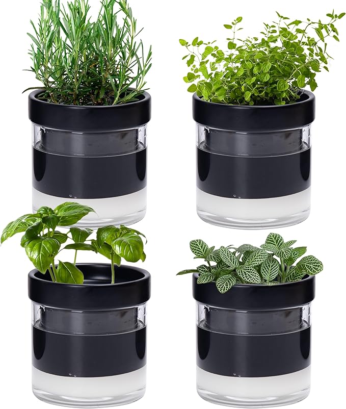 Phoenix Vine 4 Inch Self Watering Planter Pot, Black Terracotta Clay Pot with Glass Reservoir for Indoor Plants, Herbs, Flowers, Set of 4, 52-C-E-4 - Bloomnest