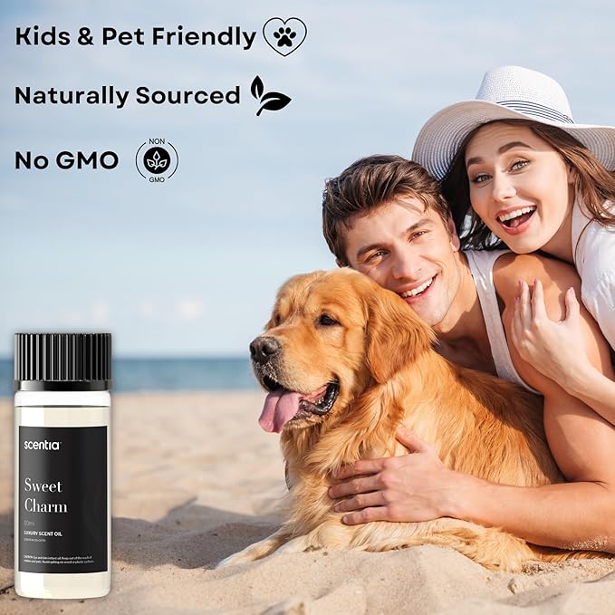 Sweet Charm Diffuser Oil | Romantic Essential Aromatherapy Oil for Love and Date Night | Valentine Collection with Jasmine, Lily & Musk | 50ml | 1.69 Fl Oz, Thanksgiving Gift - Bloomnest