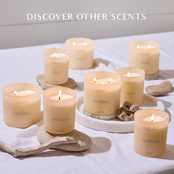 Patchouli & Ebony – Benevolence LA 3-Wick Fall Scented Candle for Home | 15oz, 50-Hour Burn | Natural Soy Wax | Warm & Grounding Autumn Home Fragrance | Malibu Sands Collection – Gift for Women & Men - Bloomnest