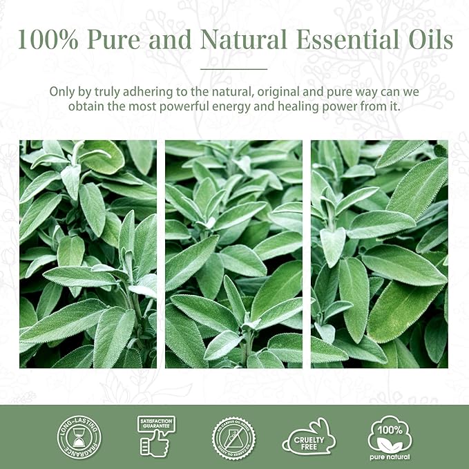 PHATOIL 3.38FL.OZ Clary Sage Essential Oil for Aromatherapy Diffusers with Glass Dropper, Humidifiers, Great for DIY Candle and Soap Making, Huge 100ML Bottle - Bloomnest
