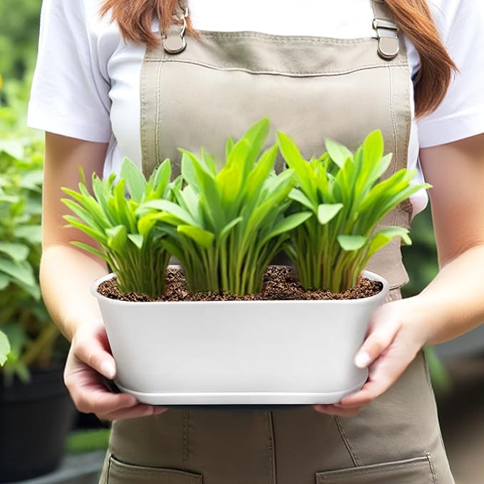 5 Set Window Herb Planter Box Rectangular,8.5x3.5 Inch White Plastic Planters with Multiple Drainage Holes and Trays,Indoor Succulent Cactus Mint Flower Pot for Windowsill,Garden Balcony - Bloomnest
