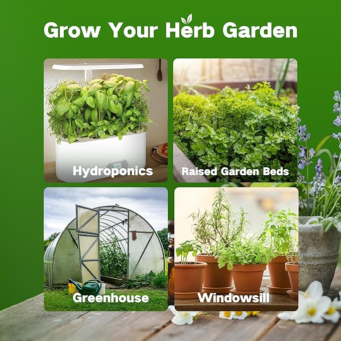 LUSH&DEW Medicinal Herb Gardening Gifts for Herbalists, Apothecary Seed Chest, 40 Varieties 36,000+ Non-GMO Heirloom Seeds for Planting Herbs in Raised Bed Windowsill, Survival Seed Kit for Herbal Tea