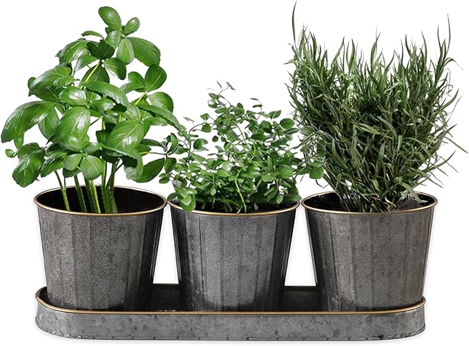 SOFE Metal Herb Pots for Indoor Plants, Window Herb Garden for Kitchen, Galvanized Bucket Planter Set of 3 with Tray, Rustic Flower Pots for Mint, Rosemary, Basil Plant - Bloomnest