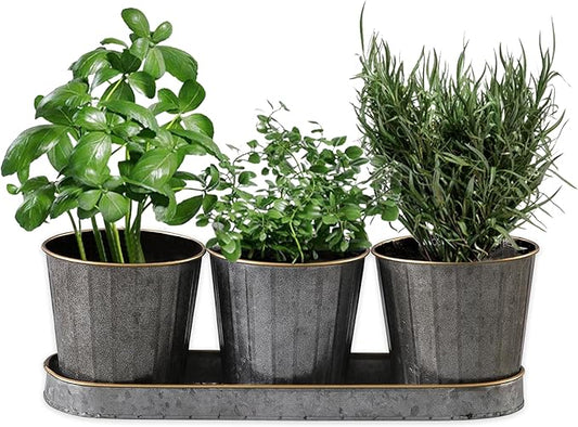 SOFE Metal Herb Pots for Indoor Plants, Window Herb Garden for Kitchen, Galvanized Bucket Planter Set of 3 with Tray, Rustic Flower Pots for Mint, Rosemary, Basil Plant - Bloomnest