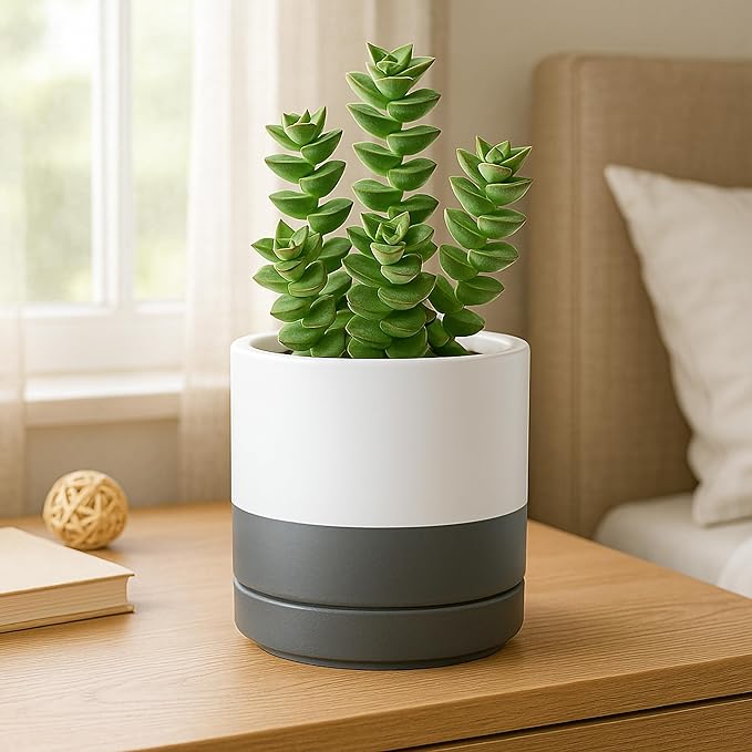 D'vine Dev 4.7 Inch & 6.5 Inch Ceramic Planter Pots for Plants with Drainage Hole and Saucer, Small Plant Pots Set, White/Speckled Grey, 94-G-S-6 - Bloomnest