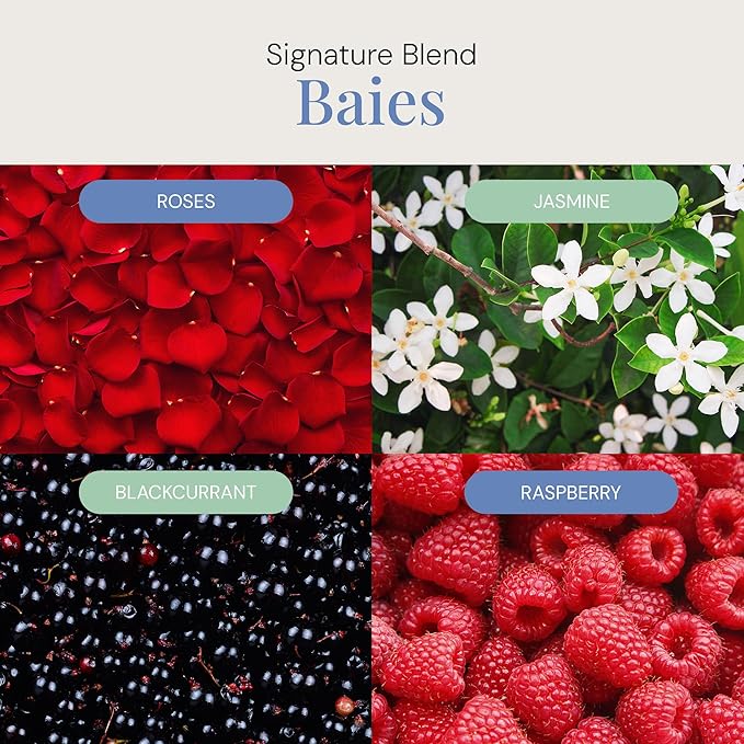 Baies Aroma Oil, Essential Oils Blend for Diffusers & Scent Machines, Floral Bouquet with Blackcurrant & Citrus Accents, Aromatherapy, Cold Air Diffuser Compatible, 300 mL - Bloomnest
