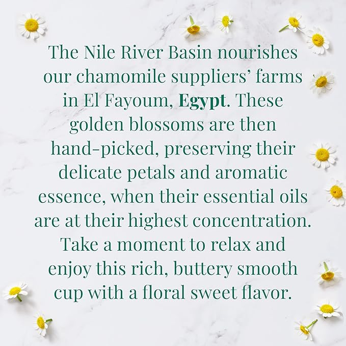 The Republic of Tea — Organic Egyptian Chamomile SuperHerb Tea Tin, 36 Herbal Tea Bags, Naturally Caffeine-Free Herbs of Origin - Bloomnest