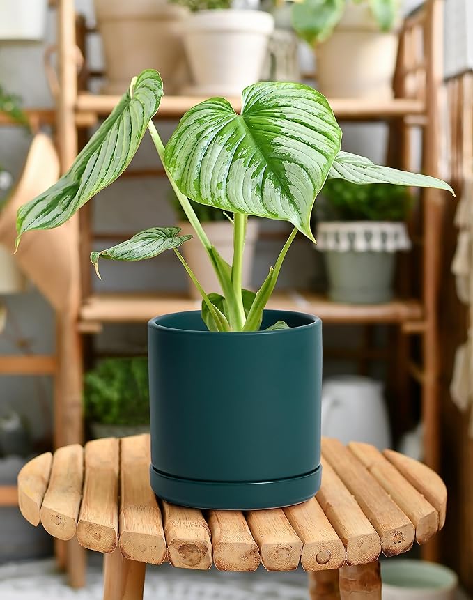 D'vine Dev Set of 2 Plants Pots, 6 Inch Ceramic Planter Pot for Plants with Drainage Hole and Saucer, Teal, 94-V-C-9 - Bloomnest