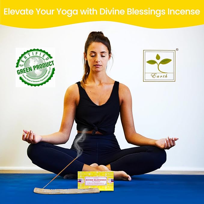 Satya Divine Blessings Incense Sticks, Satya Bng (Bangalore) Insenses 15gmx12 Pack with Raajsee Incense Holder Bundle, Satya Nagchampa Natural Incense RAAJSEE