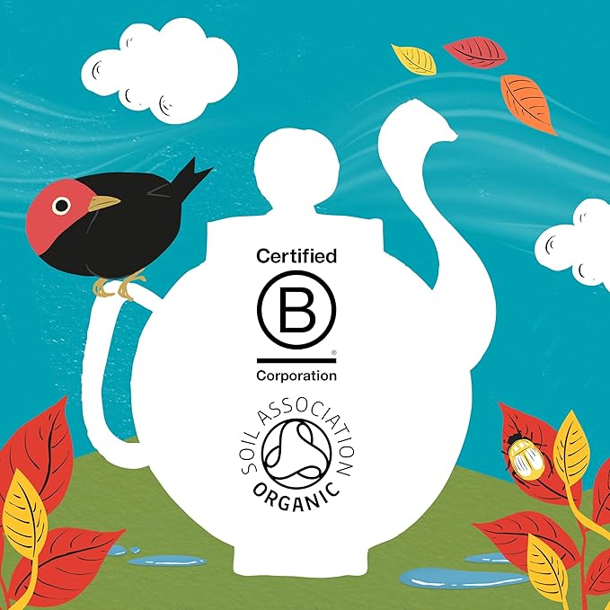 Clipper Tea Organic Fairtrade English Breakfast, Big Ben - USDA Organic, Non-GMO, Fair Trade, Sustainable Caffeinated Tea, 2 Pack, 20 Unbleached Tea Bags - Bloomnest