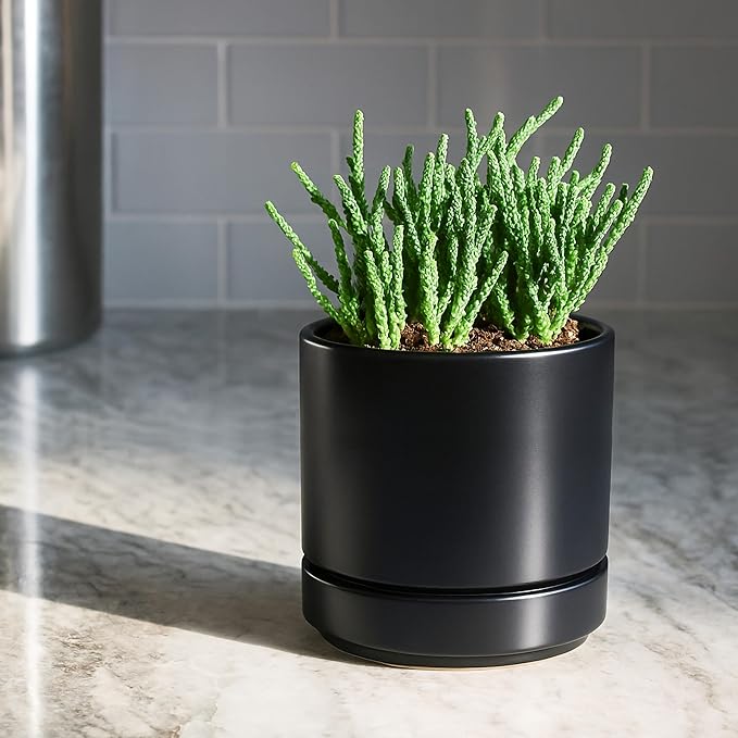D'vine Dev 4.7 Inch & 6.5 Inch Ceramic Planter Pots for Plants with Drainage Hole and Saucer, Small Plant Pots Set, Black, 94-G-S-2 - Bloomnest