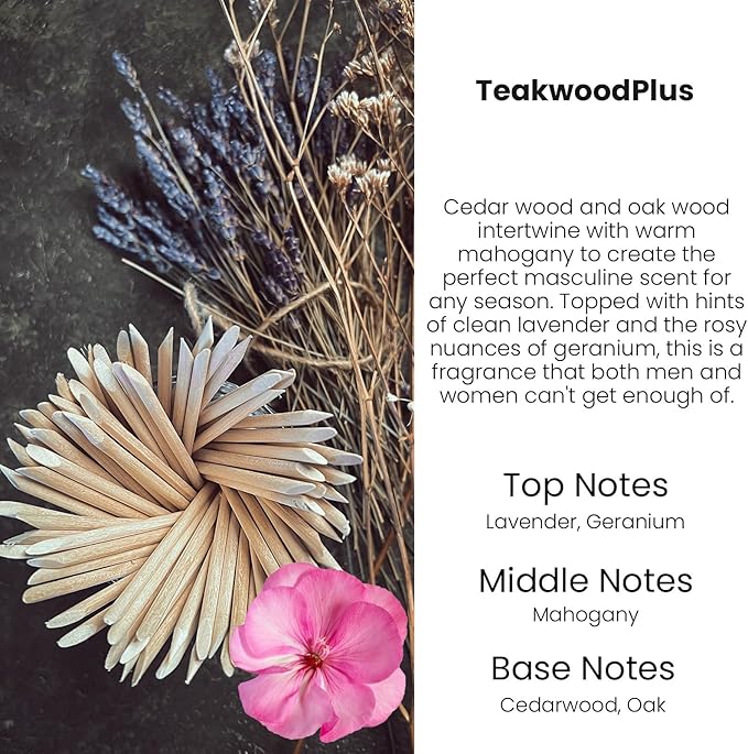 HoogaLife Car Air Freshener Diffuser 2 Pack Hanging Mahogany Teakwood Car Air Freshener for Women 45+ Days Long Lasting Fragrance Made in USA - Bloomnest