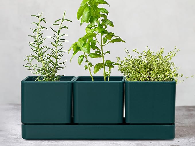 D'vine Dev Herb Garden Planter Set, Plastic Plant Pots with Drainage and Saucer, Indoor Succulent Cactus Vegetable Pot for Windowsill, Garden Balcony, Green, Set of 1, 76-V-C-1 - Bloomnest